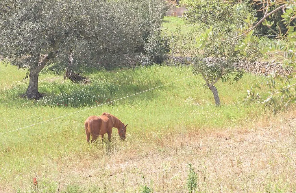 Batlet Villa S'Horta